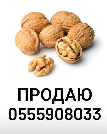 орехи саженцы: Орехи грецкие, в розницу и оптом по 80 сом / кг, урожай 2023 год