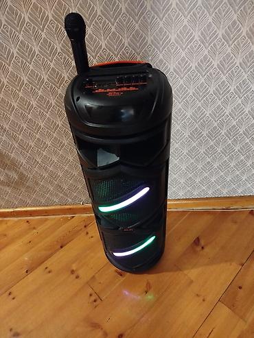 dynacord pm 1000 1: Portativ Hi‑Fi karaoke akustik sistemi - Güclü səs verən böyük — 2