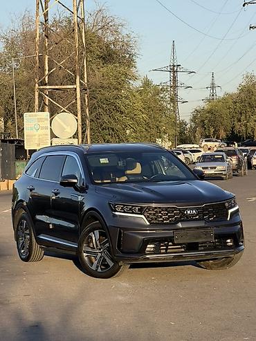 100: Kia Sorento: 2020 г., 1.6 л, Автомат, Гибрид, Кроссовер — 3