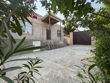 çornu pol taxta: Bağ evi kirayəyə verilir,Saray qəsəbəsində yerləşir,3 sotun