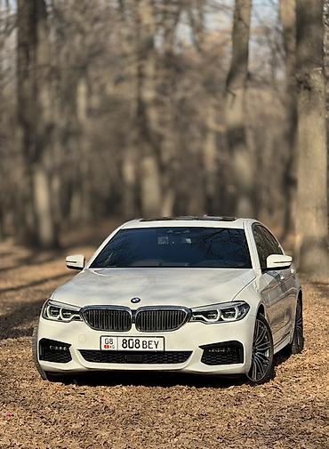 жили машина: BMW 5 series: 2019 г., 2 л, Автомат, Бензин, Седан — 1
