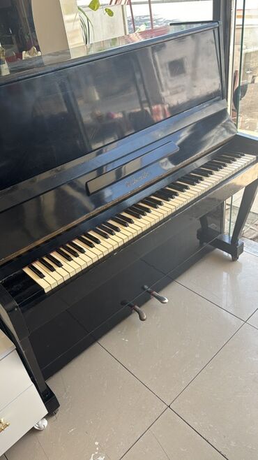 Nəfəs alətləri: Piano, Akustik
