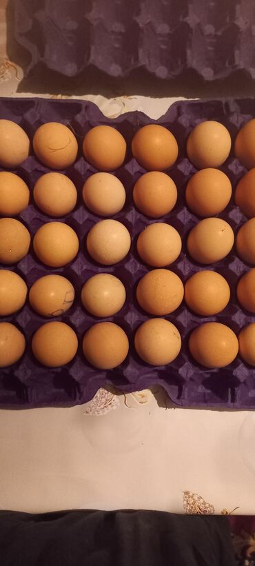 mayalı yumurta satışı: Toyuq, Ünvandan götürmə