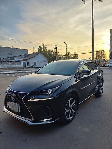 хайландер 2019 гибрид: Lexus NX: 2019 г., 2 л, Автомат, Гибрид, Кроссовер — 3