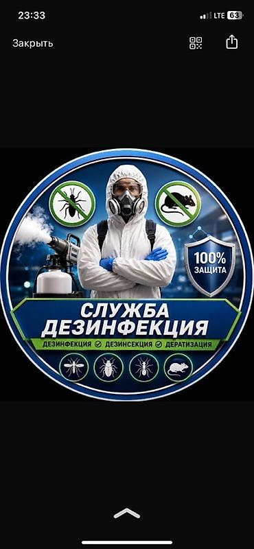 калыб: Профессиональные услуги по дезинфекции, дезинсекции и дератизации — 1
