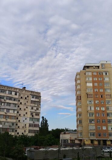 квартира за 10 тысяч в месяц: 3 комнаты, 106 м², Элитка, 6 этаж, Евроремонт