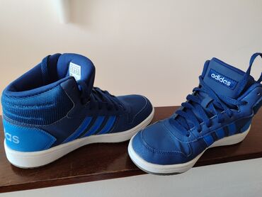 primadona obuća: Adidas, Size - 36