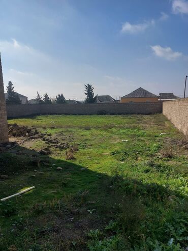 Maklerlər narahat etməsin, Kupça (Çıxarış)
