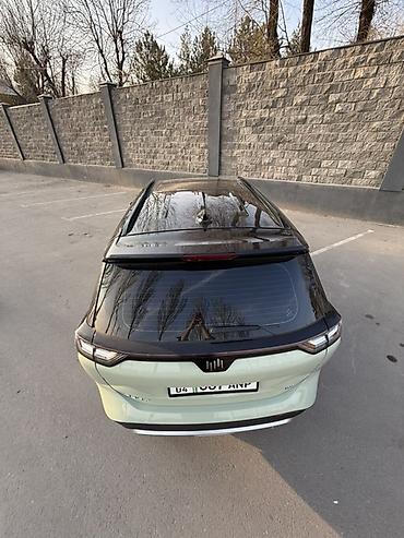 Weltmeister: Weltmeister W6, 2022 г. — 26