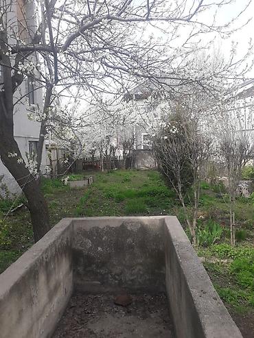 Продажа коттеджей и домов: Дом находится Чон-арыке по трассе 1-линия рядом резиденции участок — 5