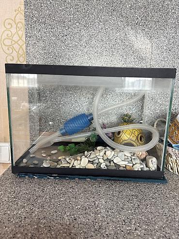 Продается аквариум, прибор для выкачки воды, камушки декоративные вещи at lalafo.kg Продается аквариум, прибор для выкачки воды, камушки декоративные вещи