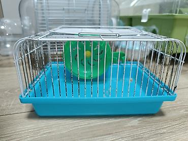 qefes satisi: Şəkildə gördüyünüz hamısı 60AZN Siçan/hamster üçün komplekt qəfəs — 9