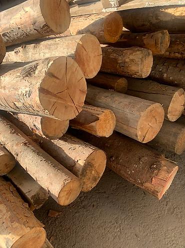 Лес кругляк: Срочно!!! Продается Кругляк(сосна, пихта, тополь и др. породы)длина — 2