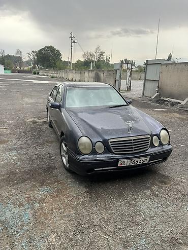 бука муравей бишкек: Mercedes-Benz E-Class: 2000 г., 2.7 л, Автомат, Дизель, Седан — 1