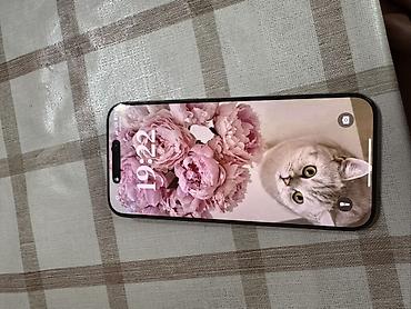 goggle pixel: IPhone 16 Pro Max, Б/у, 256 ГБ, Desert Titanium, Чехол, Защитное стекло, 89 % — 2