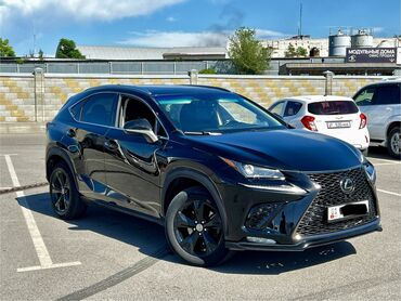 lexus ct 200h: Lexus NX: 2017 г., 2 л, Автомат, Бензин, Кроссовер