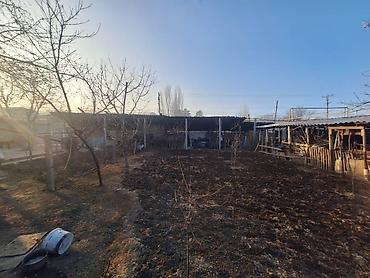 Продажа участков: 9 соток, Красная книга — 9