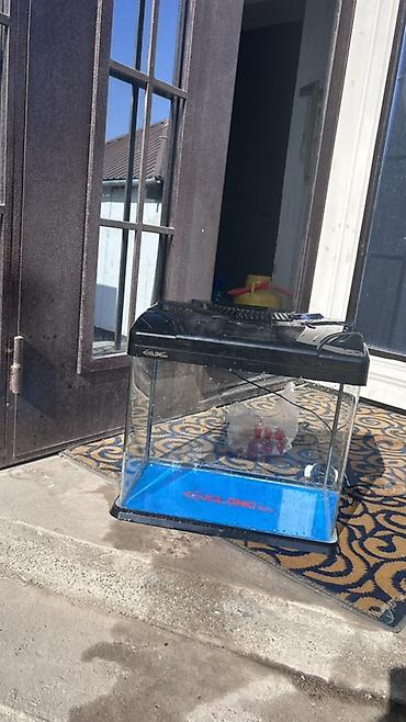декан корос: Аквариум KOMLONG с крышкой и подсветкой - Стеклянный аквариум — 1