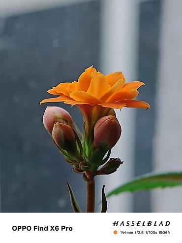 Oppo: Oppo Find X6 Pro, Б/у, 512 ГБ, цвет - Зеленый, 2 SIM — 15