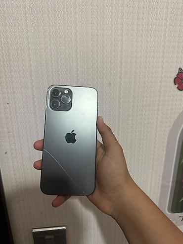 apple kabel: IPhone 12 Pro Max, 256 GB, Graphite, Face ID — 1