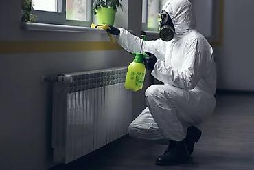 Дезинфекция, дезинсекция: Дезинфекция, дезинсекция, | Вирусы, микробы, Мыши и крысы, Блохи, | Офисы, Транспорт, Подвал, погреб — 7