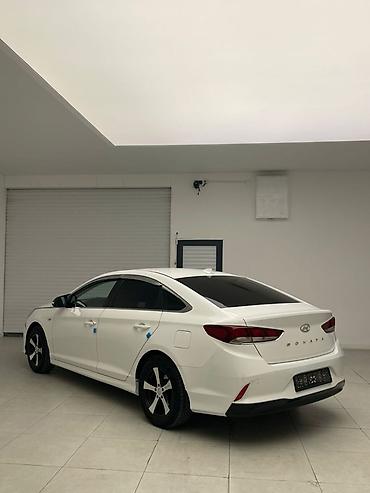 byd yan plus: Hyundai Sonata: 2019 г., Седан — 5