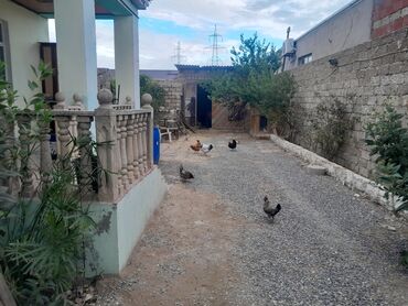 Həyət evləri və villaların satışı: Satlıq həyət evi - Tam mülkiyyətli birmərtəbəli fərdi yaşayış evi - — 9