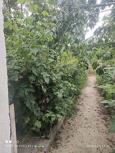 Продажа коттеджей и домов: Дом в ЧолпонАте р-он Хутор на участке более 10соток Продажа, два дома — 4