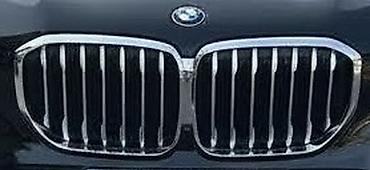 radiyatr: BMW radiator barmaqlığı (böyük “double kidney” ön barmaqlıq) - Rəng — 1