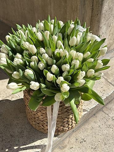 Другие услуги в сфере красоты и здоровья: Тюльпаны по 100 сом 
Оформим, доставим во время ☺️ 
От 200 шт 90 сом — 7