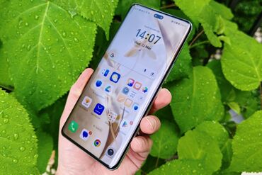 bilendir: Honor 200 Pro, rəng - Boz