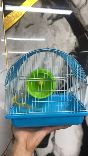 отдам охотничью собаку в хорошие руки: Продам клетку для попугая в хорошем качестве