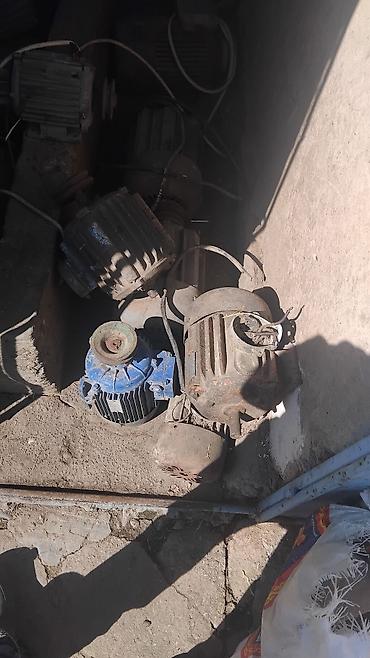 Зернодробилки: Продаю моторы ссср все рабочий цена от 1500 и до 13500 сом торг есть at lalafo.kg — 4 Зернодробилки: Продаю моторы ссср все рабочий цена от 1500 и до 13500 сом торг есть — 4