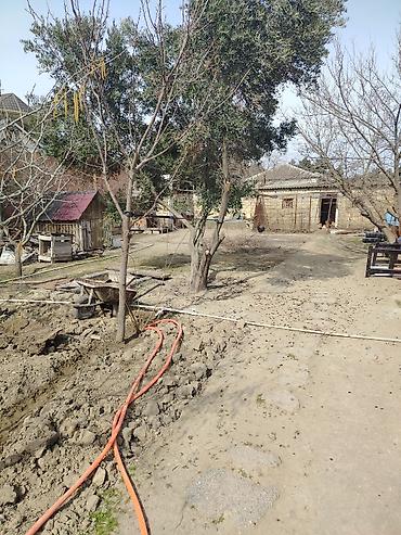 Bağ evlərinin satışı: Digah, 100 kv. m, 6 otaqlı, Hovuzsuz, Su — 7