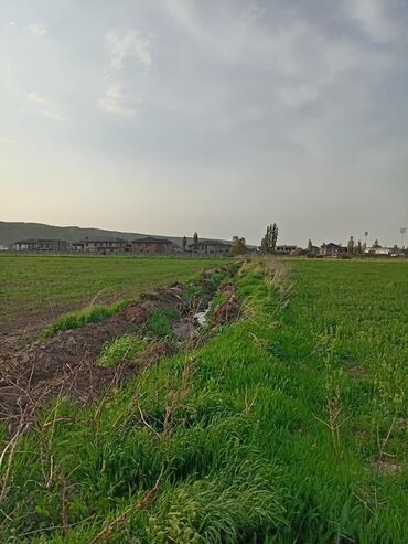 ищу дом в бишкек: 10 соток, Айыл чарба үчүн