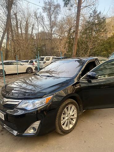 СТО, ремонт транспорта: С выездом — 14