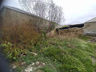 Torpaq sahələrinin satışı: Tikinti -da lalafo.az — 1 Torpaq sahələrinin satışı: Tikinti — 1