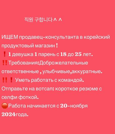 биндеры 350 листов с пластиковым корпусом: Продавец-консультант