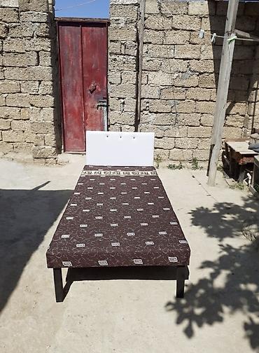 Kravat 
Taza 
Hazırı var — 1