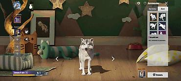 кечки кызыл: Түсү - Кызыл — 8