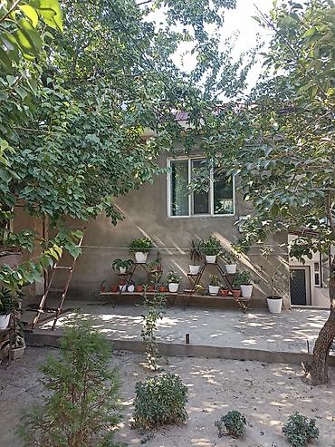 Продажа коттеджей и домов: Манас (Жалал-Абад) шаарынын борборунан жаңы бүткөн үй сатылат, 5 — 5