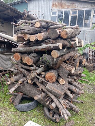 Другие товары для дома: Продаю дрова каргач