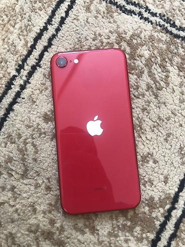 IPhone SE 2020, Новый, 64 ГБ, Красный at lalafo.kg IPhone SE 2020, Новый, 64 ГБ, Красный
