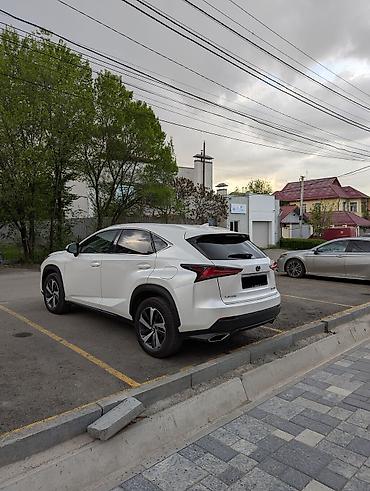 лехус нх 300: Lexus NX: 2019 г., 2 л, Автомат, Бензин, Кроссовер — 6
