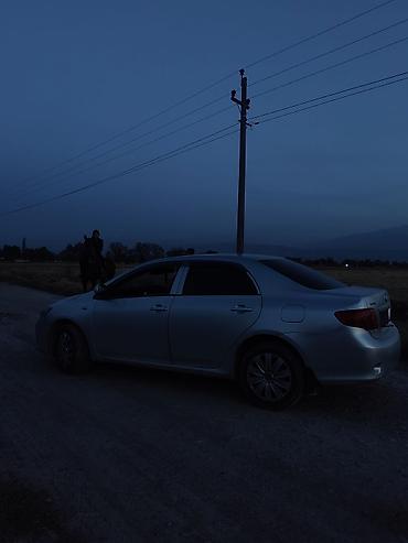 Toyota: Toyota Corolla: 2008 г., 1.6 л, Механика, Бензин, Седан — 7