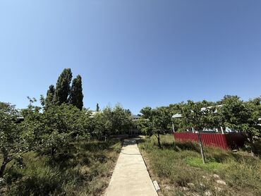 Иссык-Куль 2025: Коттедж, Relax home Чолпон-Ата, Барбекю, Бассейн, Бильярд — 25