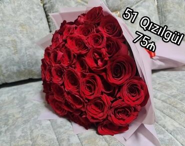 Digər bitkilər: 🔴 51 Qızılgul - 75₼
🌐 Ün. Əcəmi m yaxınlığı