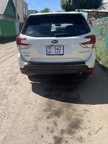 4 114: Subaru Forester: 2020 г., Кроссовер — 6