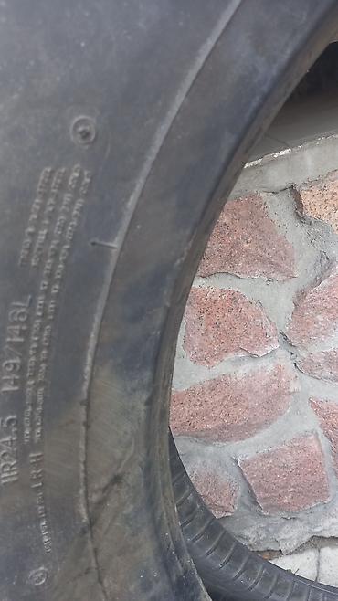 Шины: Шины R 24,5, Новый, Грузовики/Автобусы, Dunlop — 3