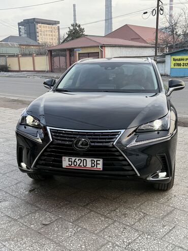 продажа toyota corolla: Lexus NX: 2019 г., 2 л, Автомат, Бензин, Кроссовер